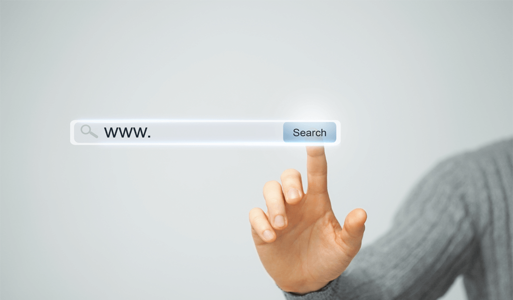 Domain Name Search and Selection-WhitehatsDesign